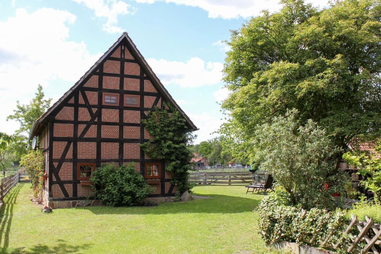 Ferienhaus Siemer Gilten Zewnętrze zdjęcie